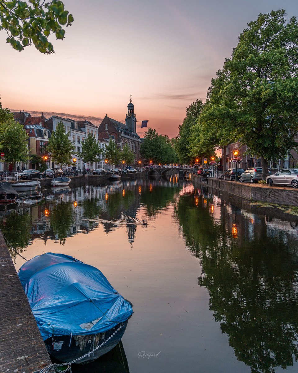 Richard Steenvoorden 🌱 tweet media