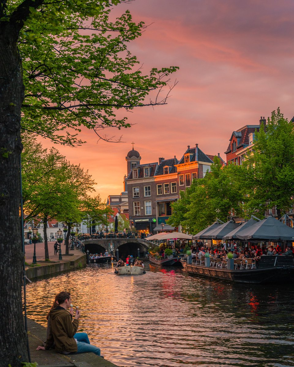 Richard Steenvoorden 🌱 tweet media