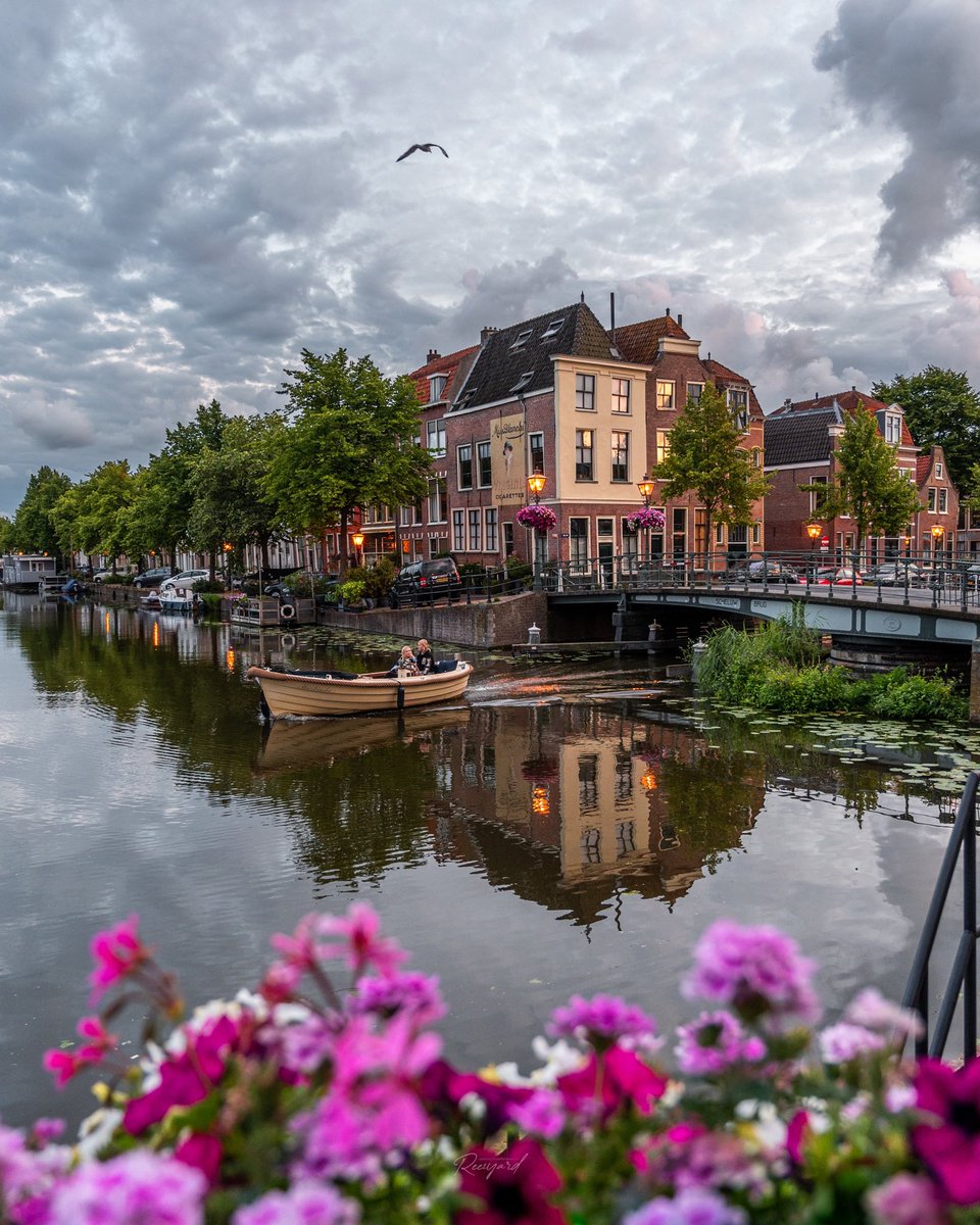 Richard Steenvoorden 🌱 tweet media