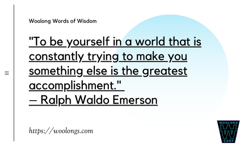 Woolong Words of Wisdom
Woolong Corporation Ecosystem
woolongs.com