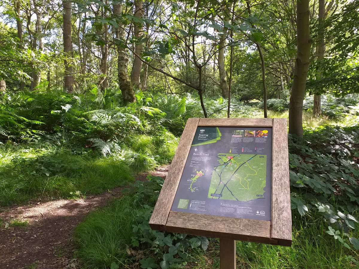 There are 11 waymarked trails of varying lengths in #EppingForest. The routes are signposted and being circular, they may be joined anywhere along the trail. For further information and to download the route maps, visit cityoflondon.gov.uk/eppingforest