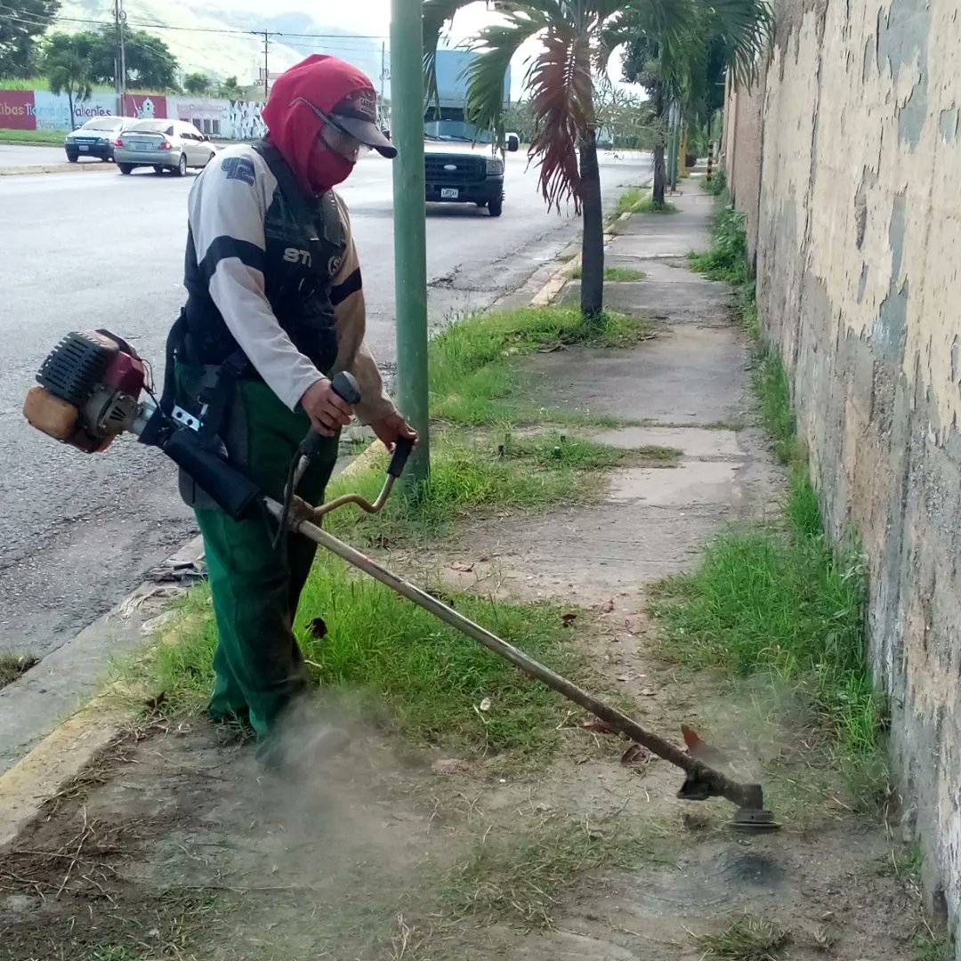 Instit12Febrero's tweet photo. #10Ago📢 #AlMomento Gracias a la gestión de nuestro Alcalde @juancarlospsuv, seguimos trabajando para el pueblo de Ribas, Está vez nos encontramos en la Av. Universidad ejerciendo labores de desmalezado.
#RibasVuelveASonreir #GobernamosParaServir https://t.co/WBXouu3Qdi