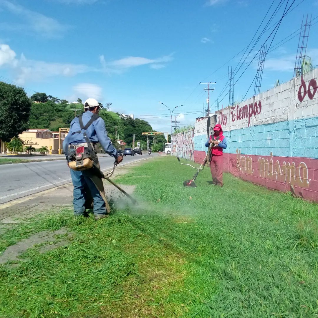 Instit12Febrero's tweet photo. #10Ago📢 #AlMomento Gracias a la gestión de nuestro Alcalde @juancarlospsuv, seguimos trabajando para el pueblo de Ribas, Está vez nos encontramos en la Av. Universidad ejerciendo labores de desmalezado.
#RibasVuelveASonreir #GobernamosParaServir https://t.co/WBXouu3Qdi