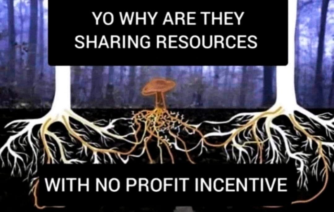 Your friendly reminder that Earth has been creating regenerative economies for close to 4 billion years...