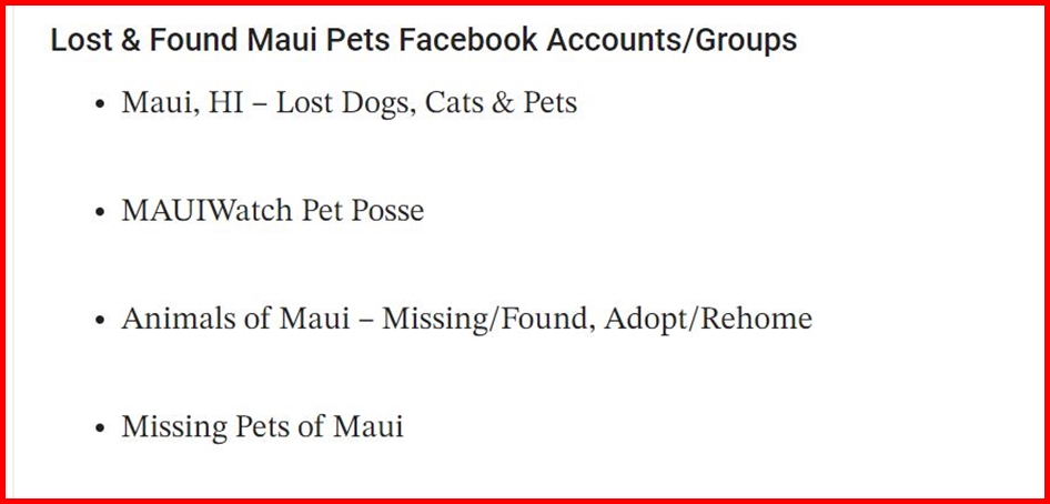 LorenzoTheCat's tweet photo. In addition to the Maui Humane Society page on Facebook, the following Facebook accounts have been set up to help reunite people with their missing pets. @mauihumane  #LahainaFires  #MauiFires https://t.co/TTgqbCzNdS
