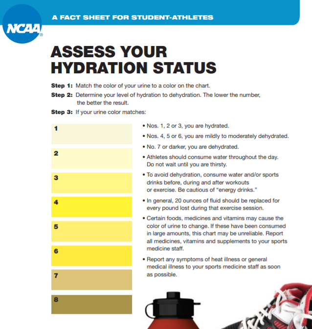 NCAA_SSI's tweet photo. Are your athletes staying hydrated? Help them to understand their hydration status with this fact sheet. https://t.co/ElrRWeTyno https://t.co/vt15rA26KQ