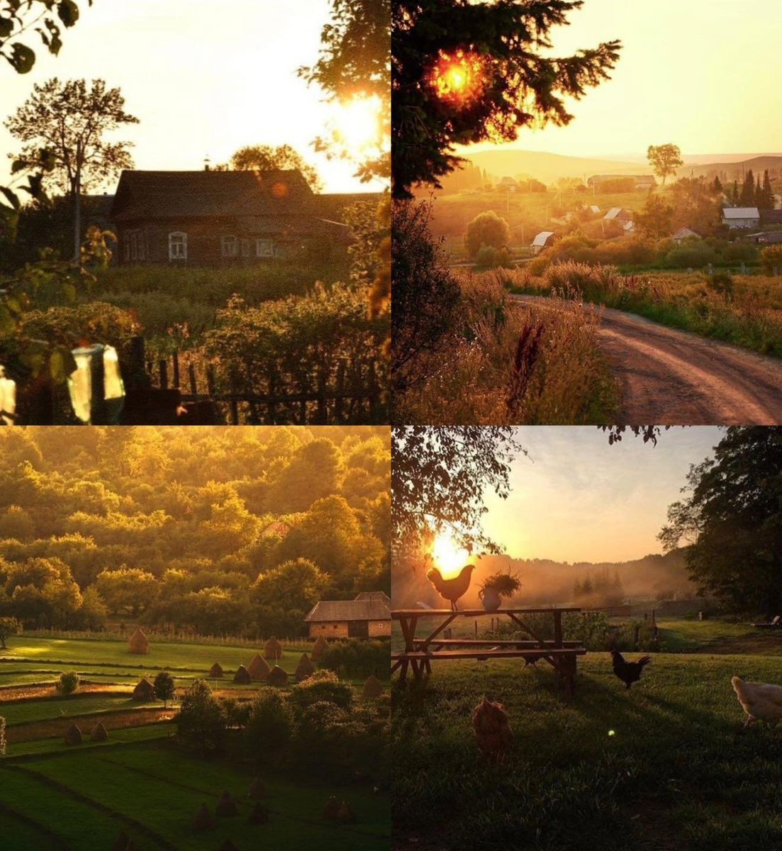 artindetails's tweet photo. golden hour https://t.co/ER6l0Z9X59