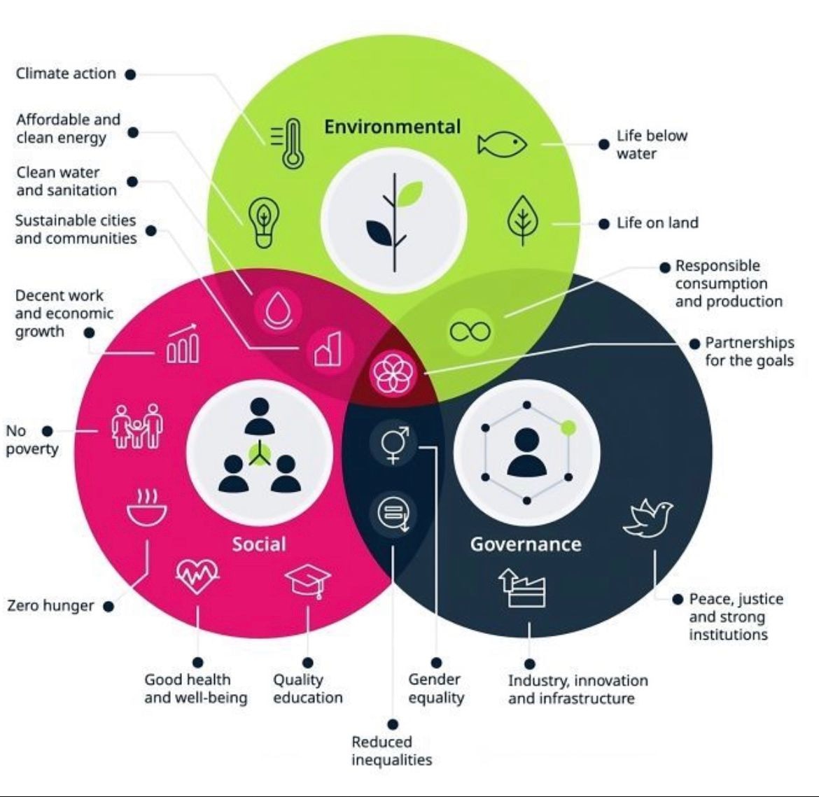 Circularity Africa Limited tweet media