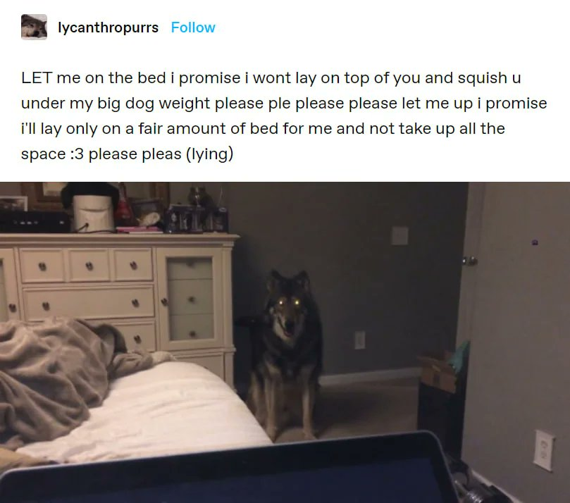WholesomeMeme's tweet photo. https://t.co/flSTbgYXqd