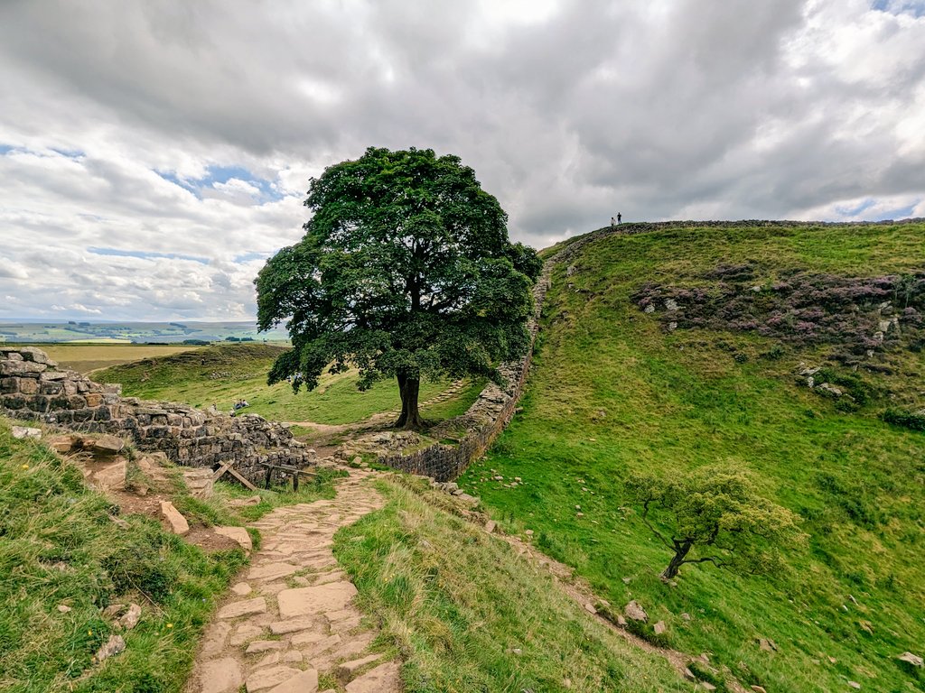 adrianmahoney's tweet photo. Hello from Sycamore Gap on #HadriansWall 

@HWpath https://t.co/tFp99s23ZB
