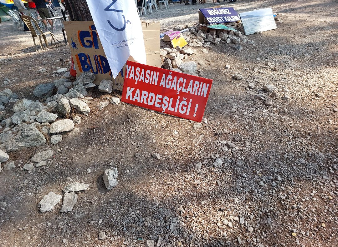 İKİZDERE ÇEVRE DERNEĞİNDEN #AKBELEN ZİYARETİ

#İkizdere Çevre Derneği yöneticileri ve üyeleri Akbelen' e destek ziyaretinde bulundu. Ziyarette İkizdere' de taş ocağı alanından kurtarılan fidanlar da alana dikildi.
#AkbeleneSahipÇık
#AkbeleneDokunma
#DayanışmaYaşatır
#İkizdereDoğa