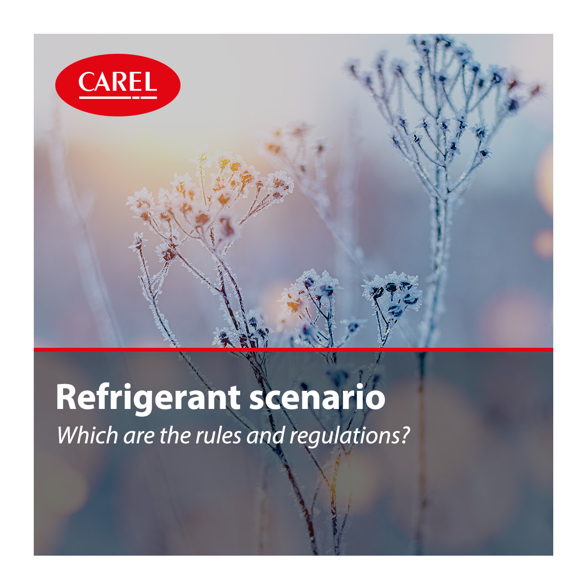 CAREL_group's tweet photo. Did you know that the history of #refrigerants started almost 200 years ago? Since then, many things have changed and many new rules have been implemented.
Learn more with our overview: https://t.co/KzszYO0YS8
#HVACR #NatRefs #Refrigeration https://t.co/FBM2uKPqWO