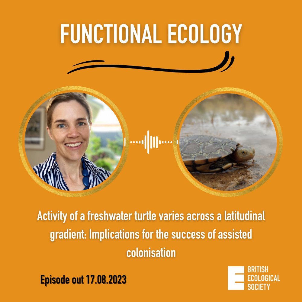 Functional Ecology tweet media