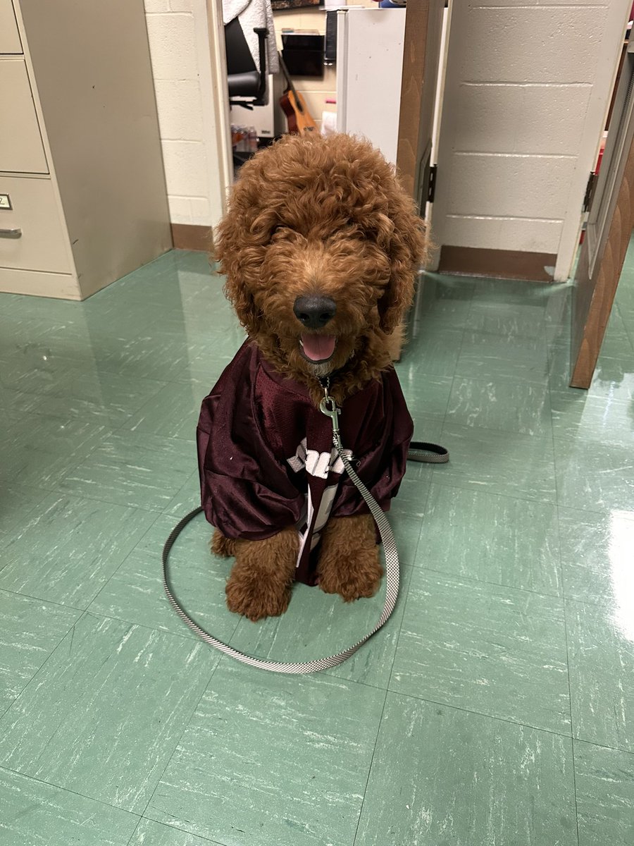 Celebrating 75 years of Dragon football? Dexter says, “count me in!” Let’s roll Dragons! <a href="/DMSDragons/">DicksonMiddleSchool</a> <a href="/DCS_TN/">Dickson Co Schools</a>