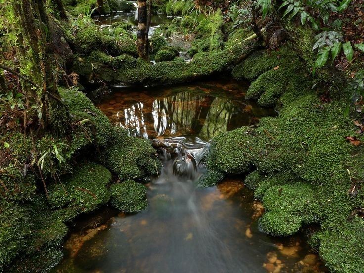 elemmiressoul's tweet photo. being in the forest. https://t.co/pQPNXYTNaI