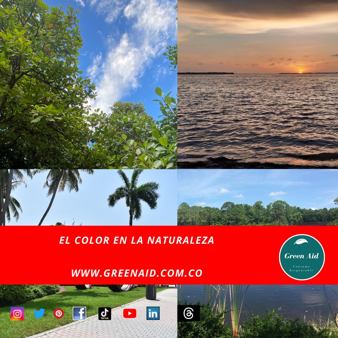 GreenAid10's tweet photo. El artículo completo en nuestro Blog
https://t.co/b3DWa36pCZ.
Juntos podemos ayudar #CuidaElPlaneta #NoMasPlastico #DesechablesCompostables #Usacompostables #dejatuhuella #greenaid @franciscoactiv2 https://t.co/cYZ7ROIMY8