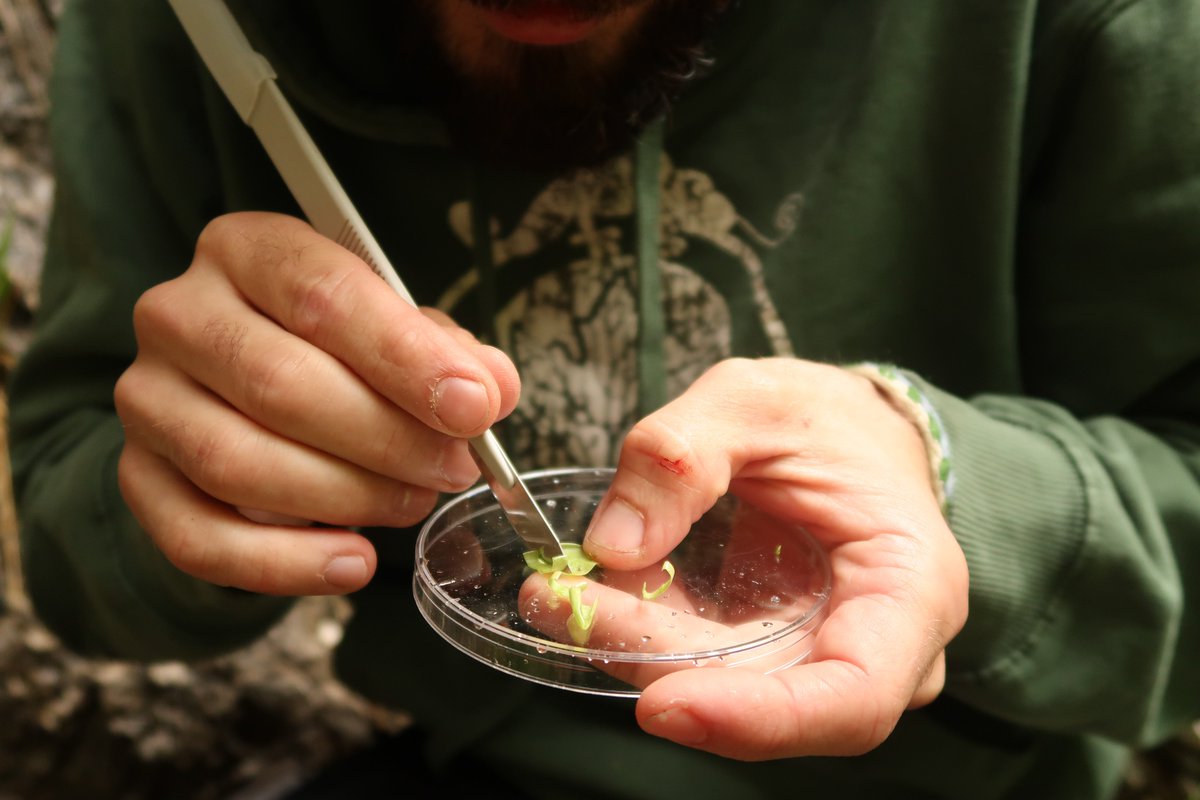 Plant EcoGenomics Lab - UniPD tweet media