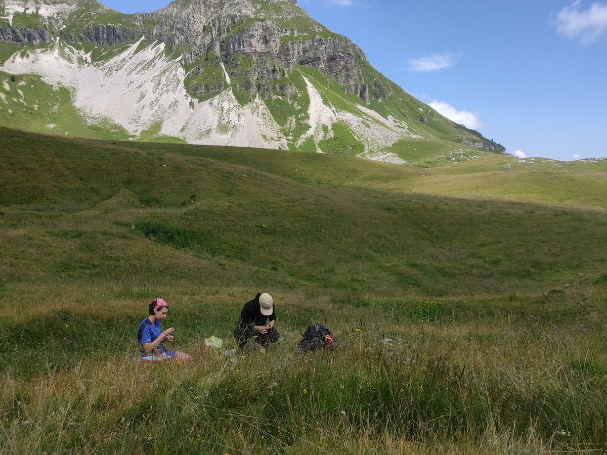 Plant EcoGenomics Lab - UniPD tweet media