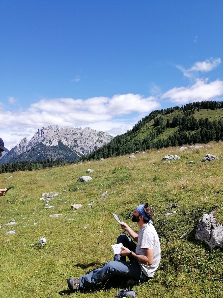 Our #sampling work continues with some species of #Pinguicula.
This is a #carnivore plant genus, including species with #chasmophite growing habitat.

#biodiversity #carnivoreplant #plant #fieldwork #conservation #alpinebiodiversity #nature #hiking #exploring