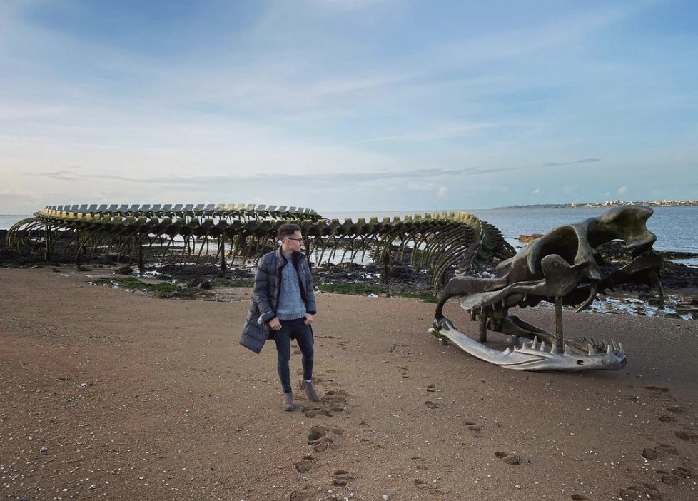 BaronVonButcher's tweet photo. @PicturesFoIder Ha! Everyone knows this country was eaten in prehistoric times by the Serpent d'océan, whose skeletal remains can be seen just offshore at Saint-Brevin-les-Pins.
https://t.co/c1ECh64fgY https://t.co/R04CgtST4u