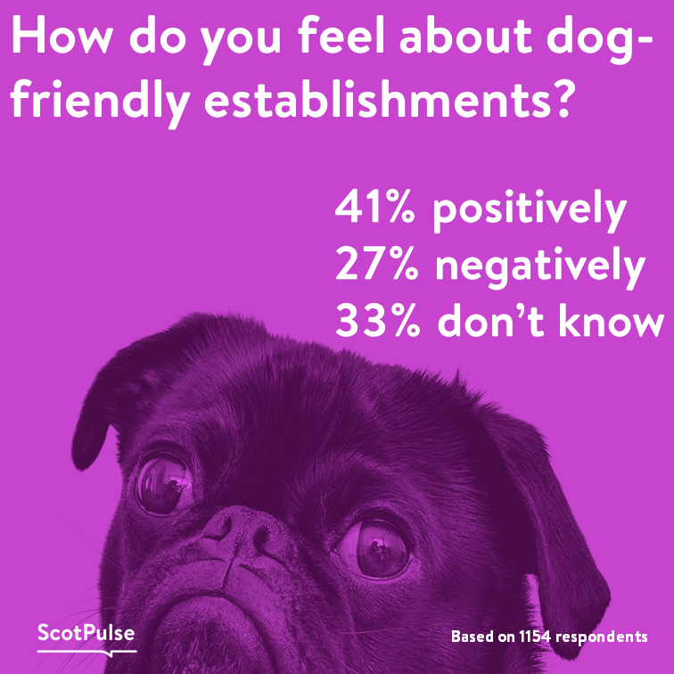 ScotPulse's tweet photo. We asked our panel – would seeing dogs in restaurants, shops etc make you feel more positively or negatively about the establishment?

Results are very split – do you like seeing dogs in bars or do you think they should be kept at home?

#ScotPulse #Scotland #dogs #dogfriendly https://t.co/Kee8Nn2egb