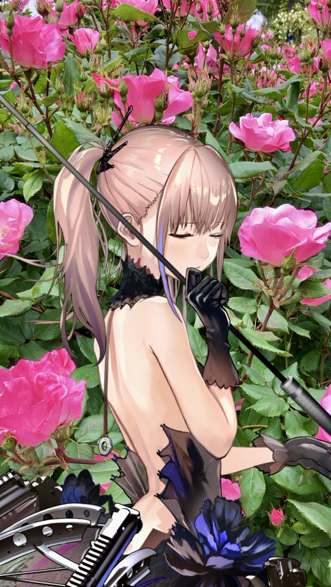 OwataTreaty's tweet photo. バラ
品種:Pink Knock Out
(ピンクノックアウト)
春バラ AR-15.ver
作出年:2004年
作出者: William J. Radler
作出国:アメリカ🇺🇸
ノックアウトの枝変わり品種。
#ドルフロ #ドルフロ植物図鑑
#PinkKnockOut https://t.co/oGA1yGKCAj