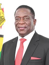 ndururani4real's tweet photo. Repost for Chamisa or Like for Mnangagwa https://t.co/YfITfAajbp