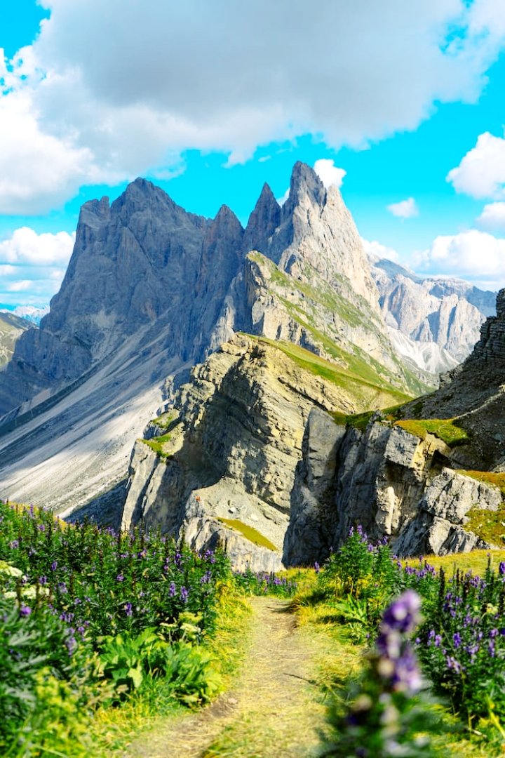 Mountain