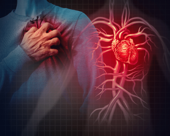rep_ranger's tweet photo. Les maladies cardiaques sont la principale cause de décès dans le monde moderne.

Je vous livre ci-dessous tous mes conseils pour éviter une mort prématurée (en dehors de l'alimentation et de la boisson) 🧵 : 

1) Arrêtez/réduisez l'alcool. https://t.co/CiqEQNV1M3