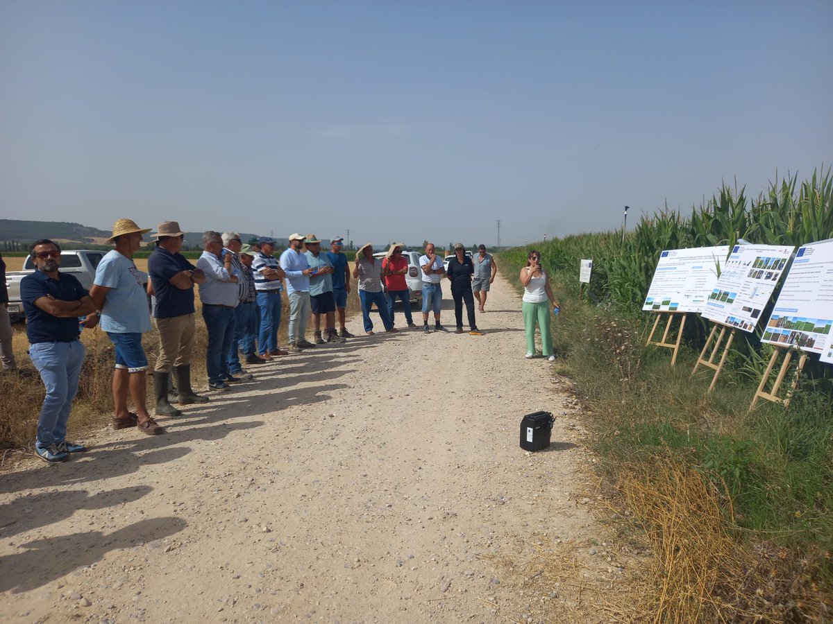 ITACYL's tweet photo. 3ª jornada divulgativa del proyecto "Experimentación en riego de baja presión y aplicación de nuevas tecnologías en los cultivos de #regadío de Castilla y León" #REBAPRES #FEADER en Olivares de Duero (Valladolid)
Un éxito, pese al calor sofocante 🥵🥵
#ITACyL https://t.co/osKMee3IGC