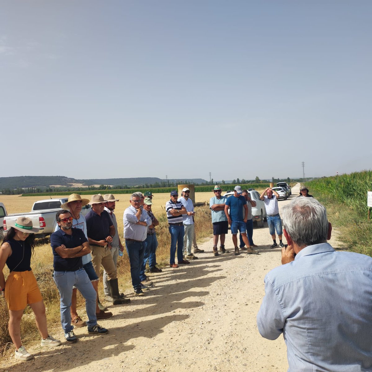 ITACYL's tweet photo. 3ª jornada divulgativa del proyecto "Experimentación en riego de baja presión y aplicación de nuevas tecnologías en los cultivos de #regadío de Castilla y León" #REBAPRES #FEADER en Olivares de Duero (Valladolid)
Un éxito, pese al calor sofocante 🥵🥵
#ITACyL https://t.co/osKMee3IGC