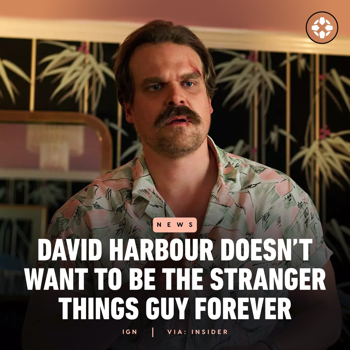 David Harbour doesn't want to be so tied to Stranger Things that people are yelling "Hopper!" on the street every five minutes, saying he's giving up TV acting altogether once the Netflix series wraps. bit.ly/3qjvEPp