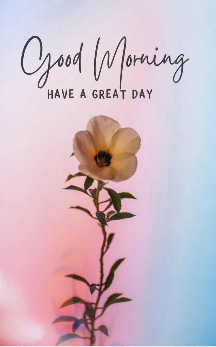 AskTarot7's tweet photo. GOODMORNING EVERYBODY HAVE A BLESSED DAY REMAIN IN THE LIGHTS OF LOVE
#trending #viral #trendingnow #fashion #trendingfashion #explore #whatstrending #explorepage #malemodeltrending #love #nowtrending #music #trendingdances #instagood #trendingtopic #hiphop #trendingtopics https://t.co/pO6zQjnZDH