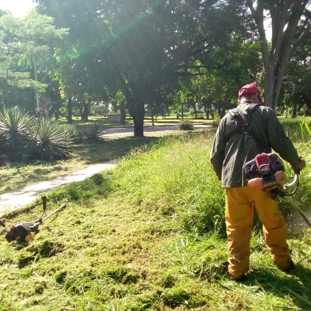 Instit12Febrero's tweet photo. #10Ago📢 #AlMomento Continúan los trabajos de desmalezado en los alrededores de la Plaza Italia.
#RibasVuelveASonreir #GobernamosParaServir https://t.co/8e6tbNCxc7