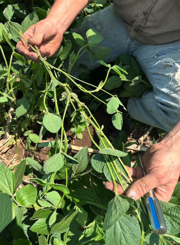 Farmer's Keeper LLC tweet media