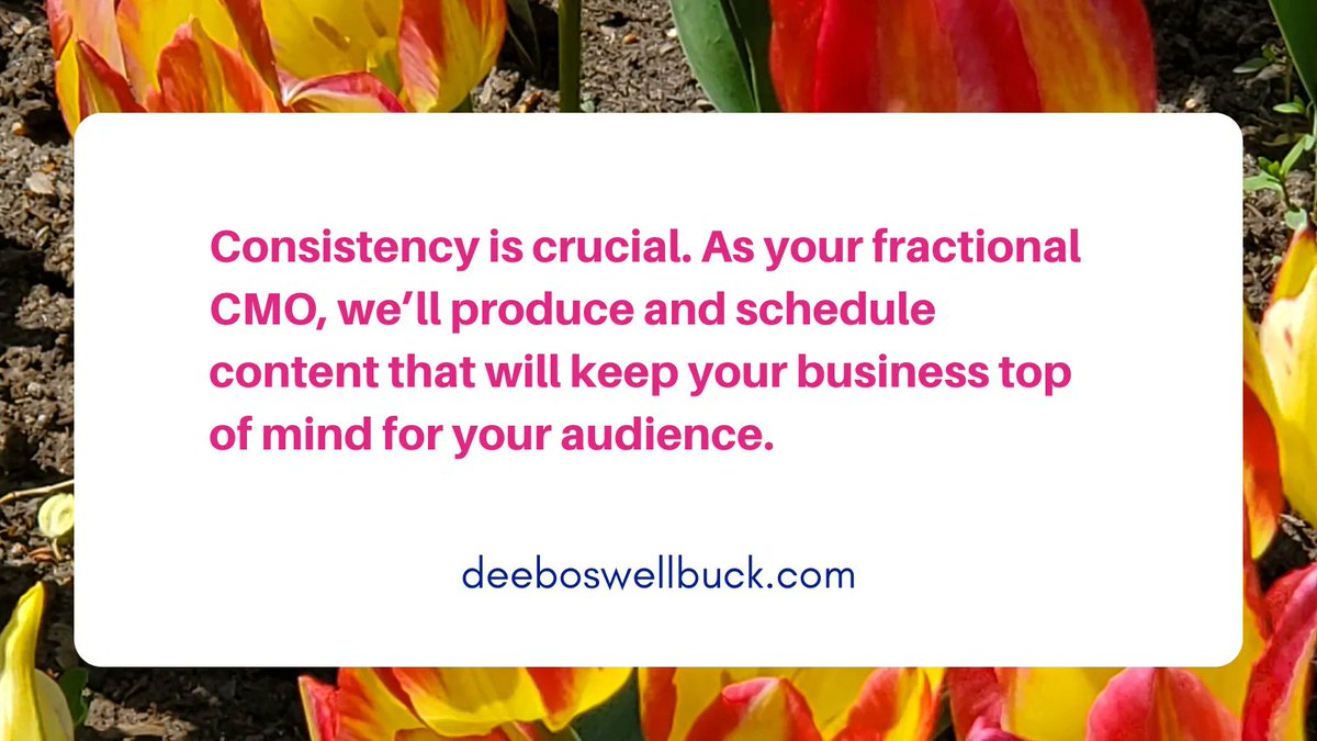 Consistency is crucial. As your fractional CMO, we’ll produce and schedule content that will keep your business top of mind for your audience.
buff.ly/3O2TipP
#digitalmarketingtips #torontobusiness #canadianbusiness