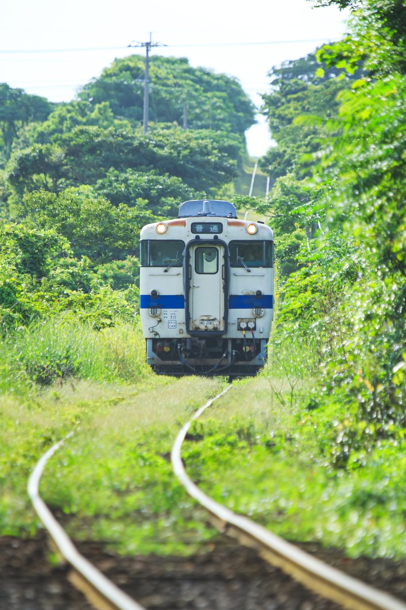 jinnosukea's tweet image. 2018夏　鹿児島　指宿枕崎線
　
#指宿枕崎線 #EOS6D
 
また南九州行きたいです。。