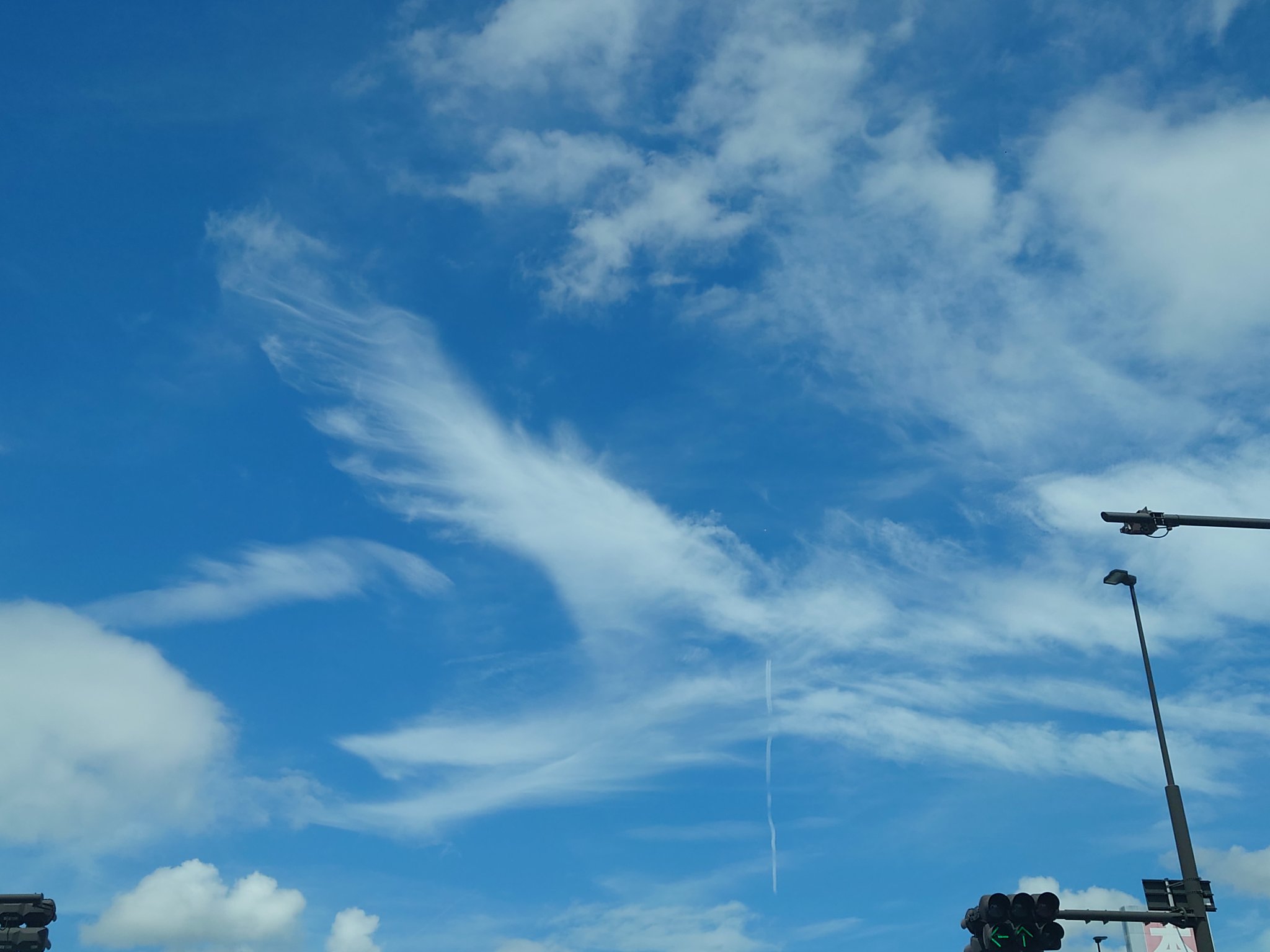 せおりん🗣️🧚‍♂️🐉 в X: „8日に撮った写真と9日に撮った写真