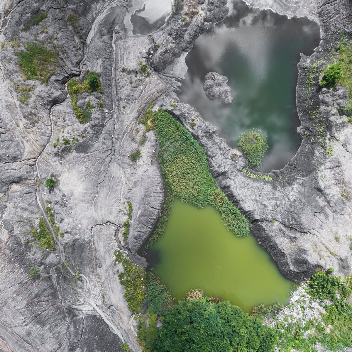 StarLedgerNFT's tweet photo. Water: the essential ingredient of life 🌍💧

But out of all the billions of planets, how did it end up here?

Let's... dive in 👇

🧵 1/5 https://t.co/03cH4bZeI1