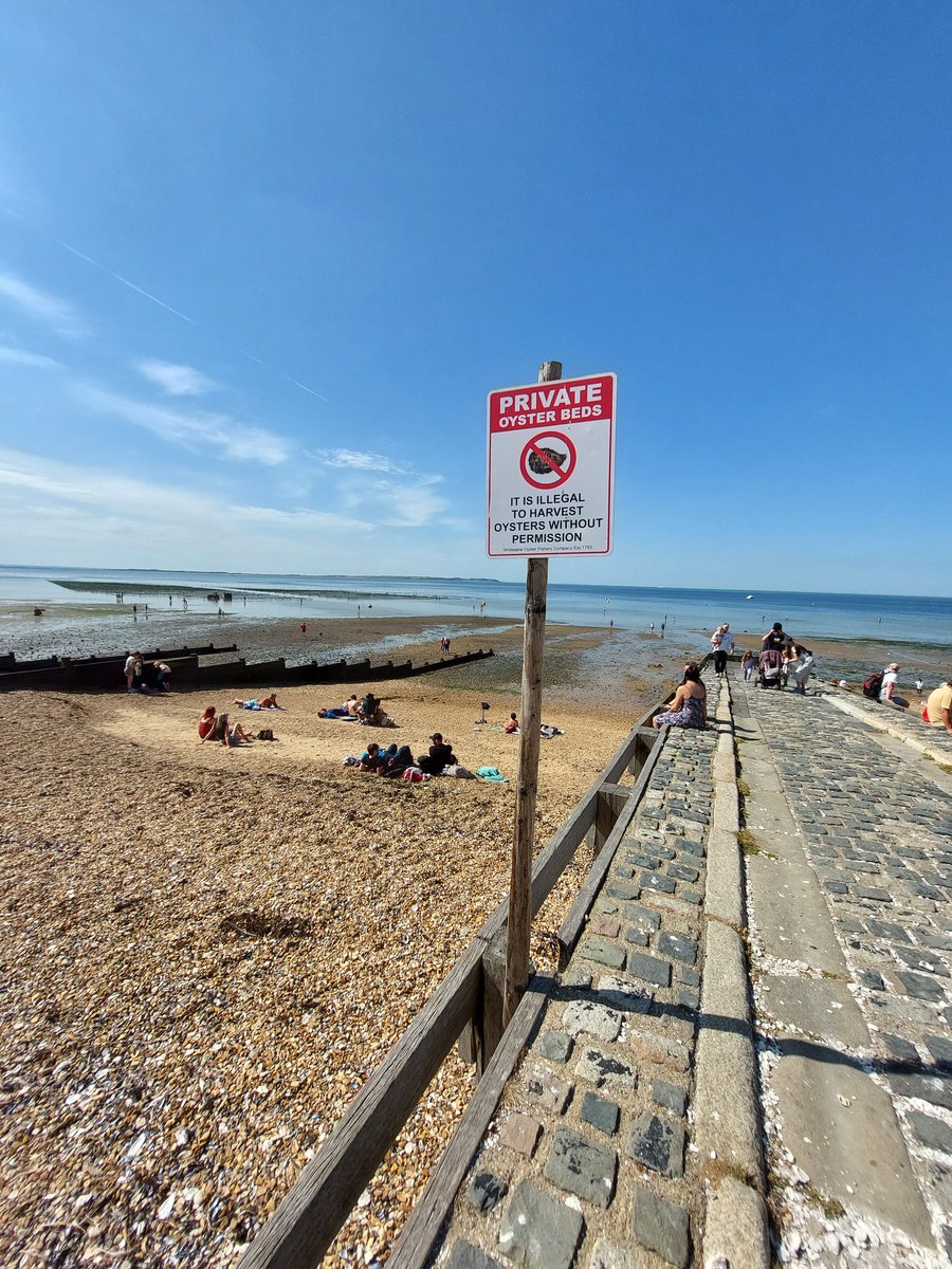 Ivana_Nika's tweet photo. #Whitstable is about oysters
#sunisback https://t.co/WhSrm4QLBZ