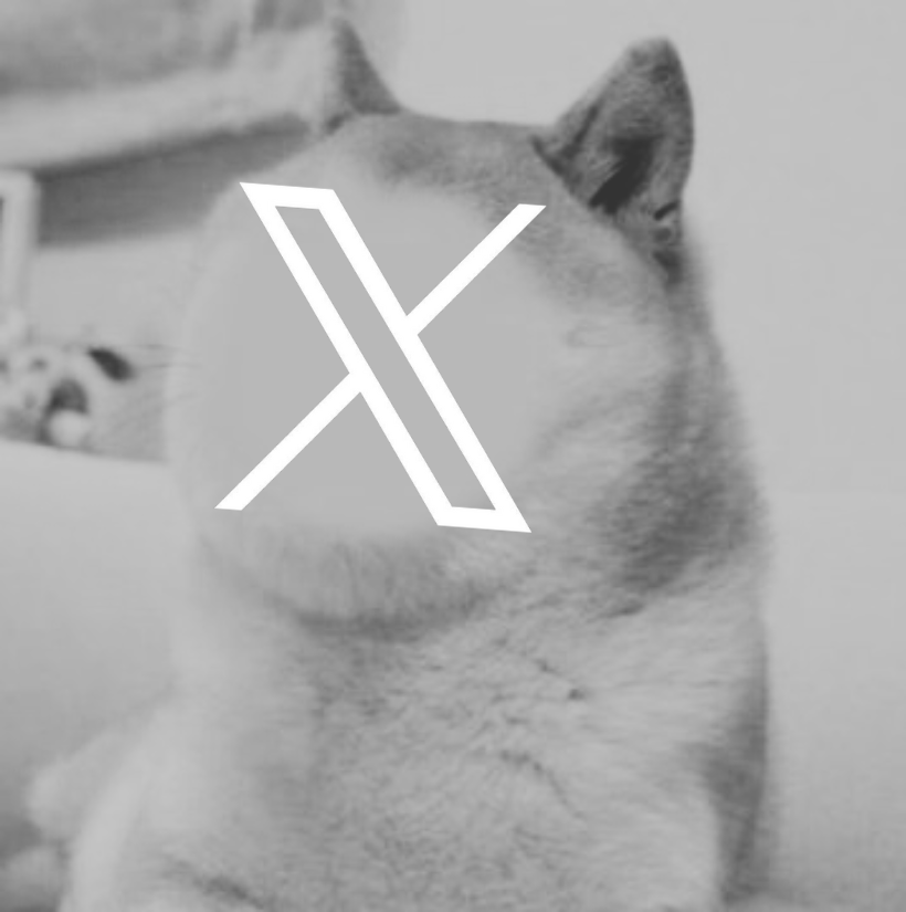 XDogecoin_ERC's tweet photo. @pythadoge Does this look familiar? $XD https://t.co/p70hfT5alv