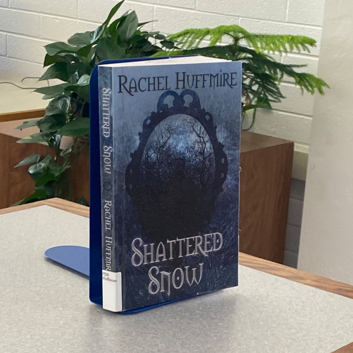 RachelHuffmire's tweet photo. Do you visit the library? 📚 A few years after I moved into my home, they built a library around the corner! Now, it’s my little escape to get some work done when I have deadlines coming up. I love all the little writing nooks and study rooms. Where do you go to hit deadlines? https://t.co/3RWHAmhjye