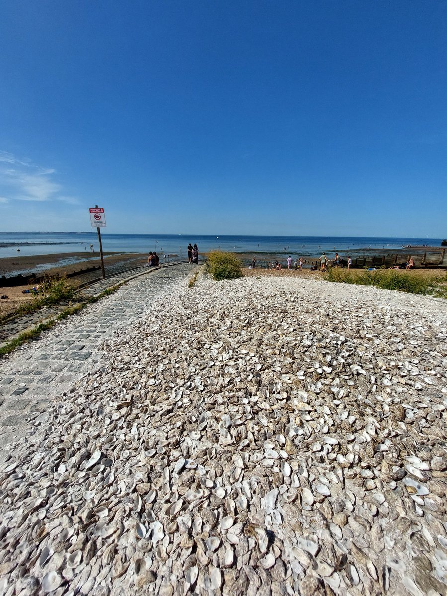Ivana_Nika's tweet photo. #Whitstable is about oysters
#sunisback https://t.co/WhSrm4QLBZ