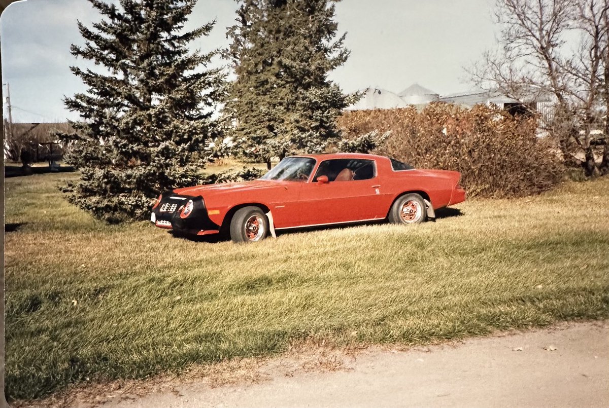 Trevor Doty🧢 tweet media