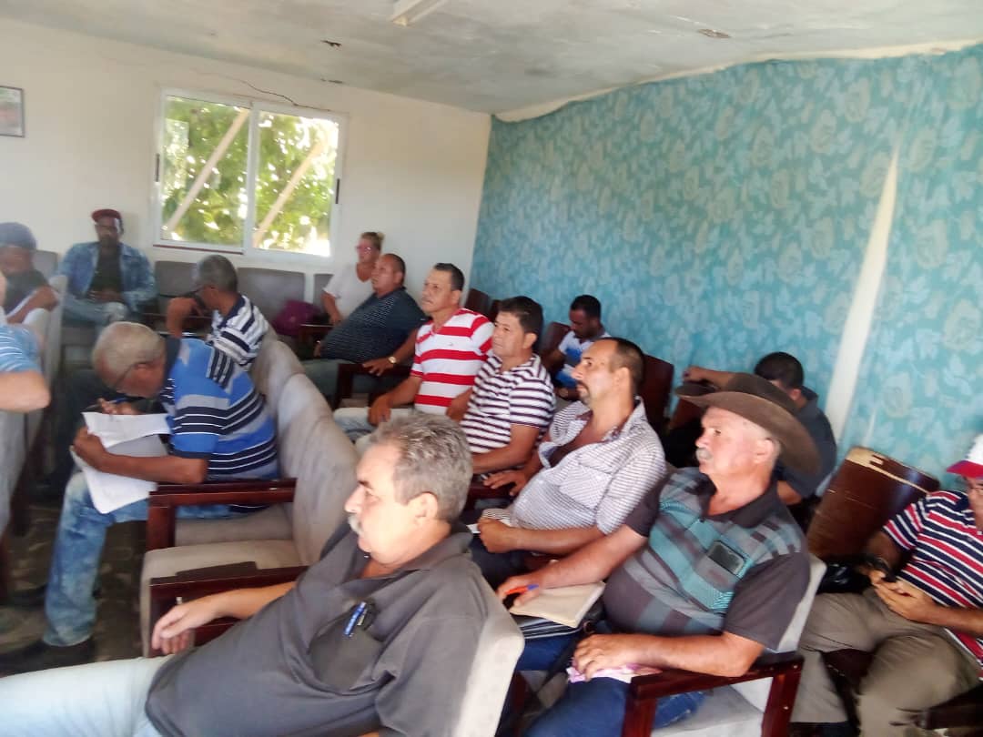 CabreraYonelsi's tweet photo. #AnapSanctiSpíritus. Se realiza en el municipio de #Trinidad la consulta del documento para la contratación 2024. La respuestas de nuestros campesinos es seguir produciendo para el pueblo. #AnapCuba #SanctiSpíritusEnMarcha @Eidy97661881 @RafaelAnap @yoel_palmero @Dermis59954572 https://t.co/rfiaf9P9hV