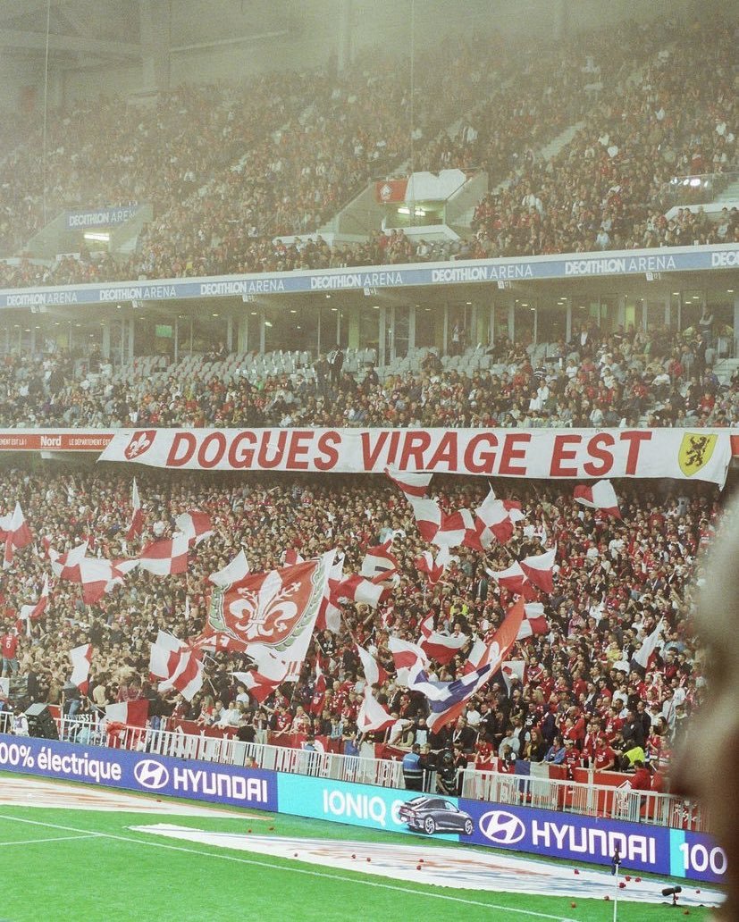 Au Stade Lillois ⚜️ tweet media