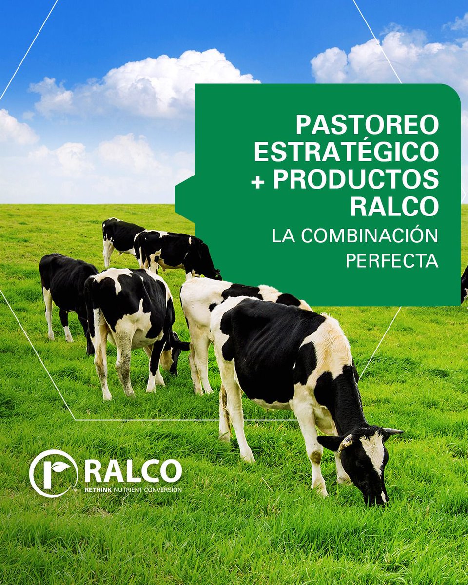 RalcoUruguay's tweet photo. 🐄 Establecer un sistema de pastoreo inteligente, que incluya recorrida, rotación y remanente, te brinda ventajas inigualables

¡Combiná la tecnología de Ralco con un pastoreo estratégico y lográ un éxito de tu establecimiento!

Ralco Uruguay
Convirtiendo nutrición en crecimiento https://t.co/I9g5onBSk5