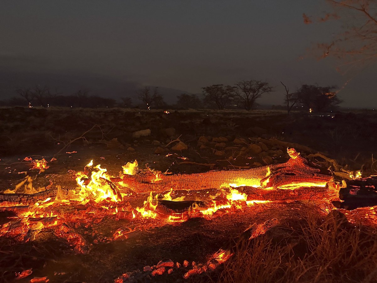 CALL FOR #PITCHES: I'm looking to assign an on-the-ground story from Maui/Lāhainā for @Voxdotcom that explains what's happening in the wake of the fires + what steps the community is taking now. Local journalists and freelancers, hit me up: paige.blank@vox.com! Rate $1/word 🧵: