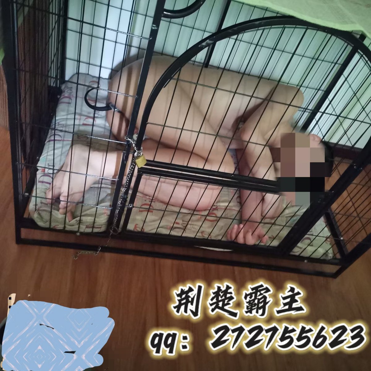 荆楚霸主 tweet media