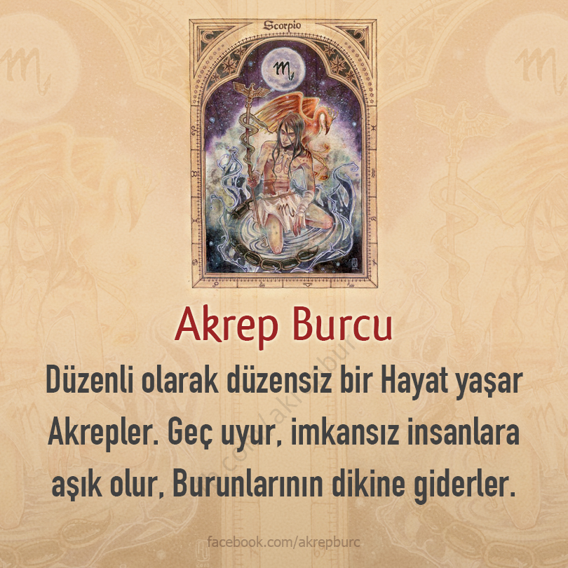 Akrep Burcu (@akrepburc) on Twitter photo 